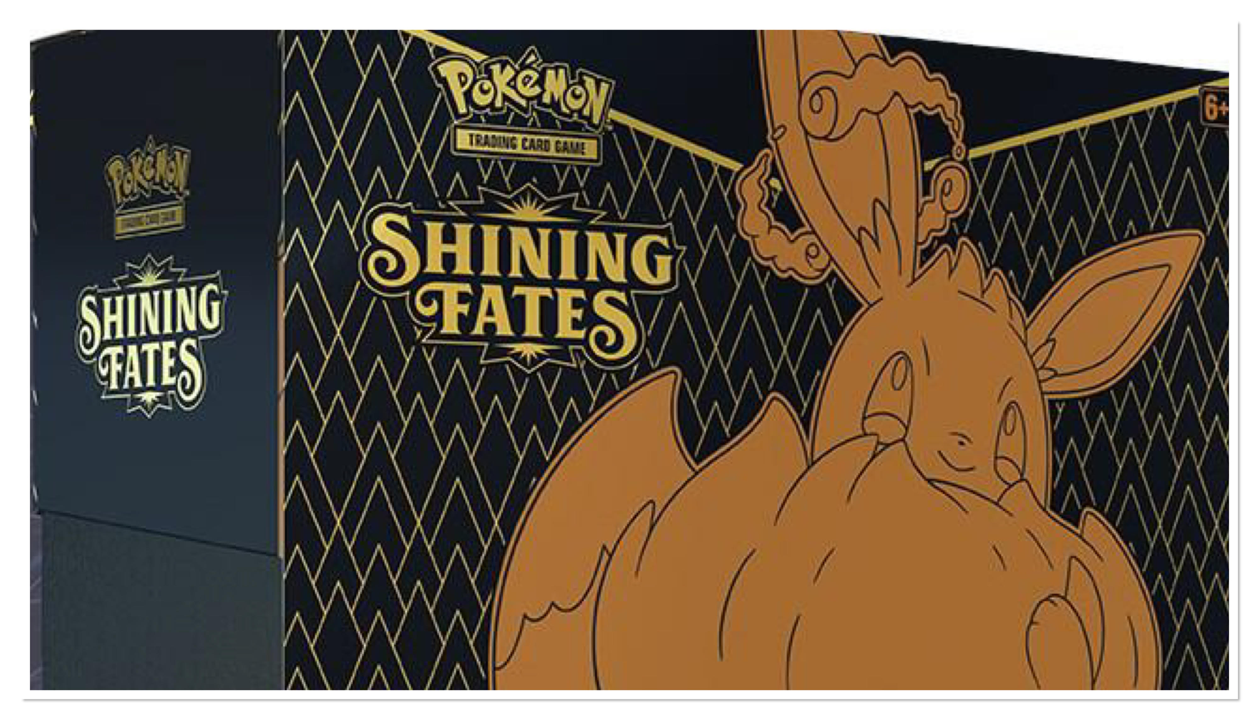 Sealed Shining Fates Elite Trainer Box beside ten loose Shining Fates booster packs